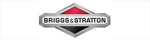 Briggs & Stratton